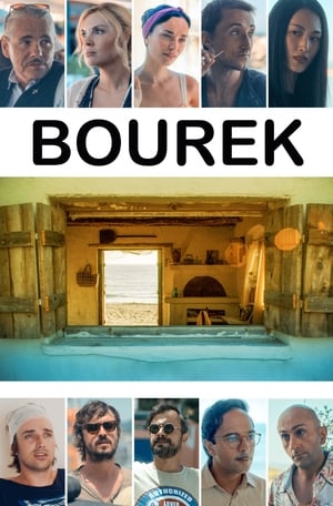 Poster Bourek 2016