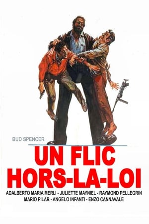 Poster Un flic hors-la-loi 1973