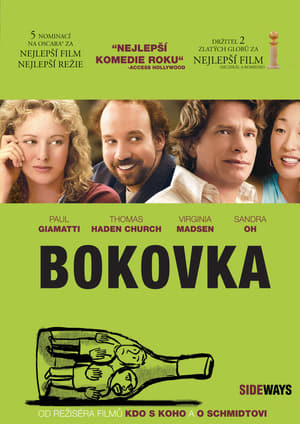 Poster Bokovka 2004