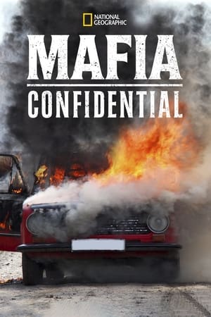 Image Mafia Confidential