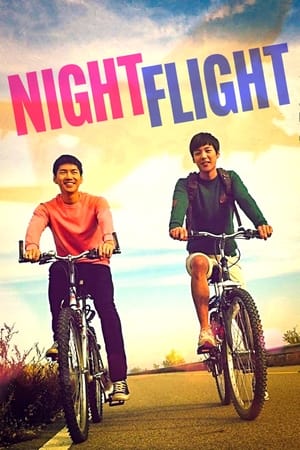 Image Night Flight