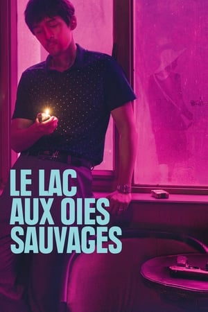Poster Le lac aux oies sauvages 2019