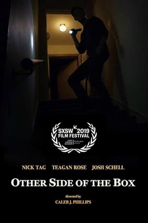 Poster Other Side of the Box 2018