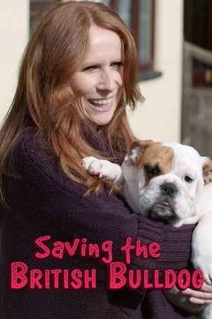 Poster Saving the British Bulldog 2018