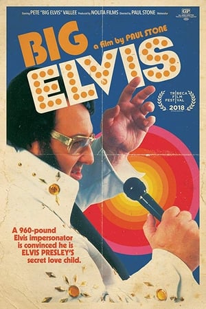 Poster Big Elvis 2018