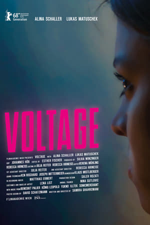Poster Voltage 2018