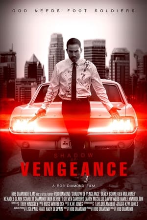 Poster Shadow of Vengeance 2024