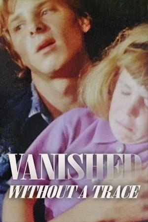 Poster Vanished Without a Trace 1993