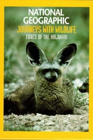Poster Foxes of the Kalahari 1997