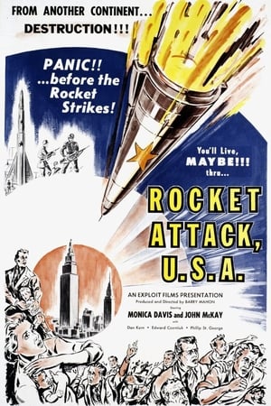 Image Rocket attaque USA