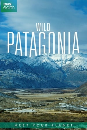 Poster Patagonia: Earth's Secret Paradise 2015