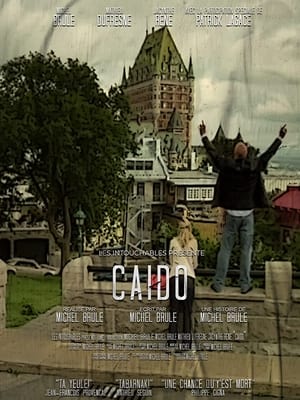 Poster Caido 2009