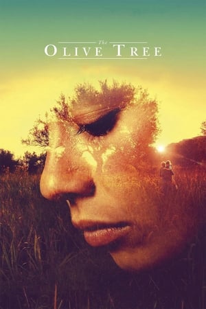 Image The Olive Tree