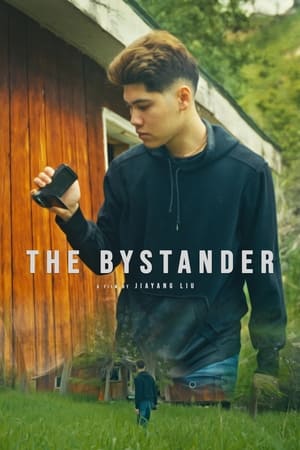 Poster The Bystander 