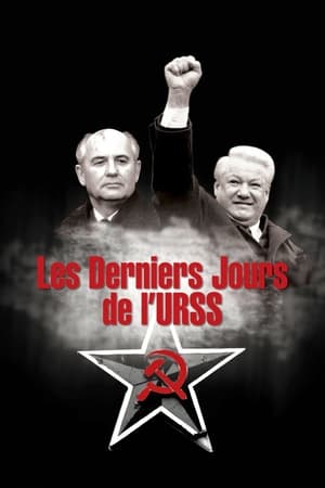 Poster Les Derniers Jours de l'URSS 2011