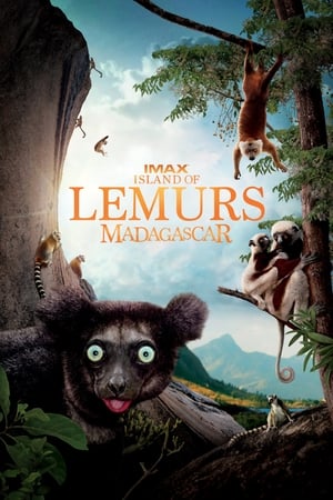 Poster Island of Lemurs: Madagascar 2014