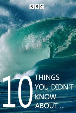 Poster 10 Things You Didn't Know About... 2008