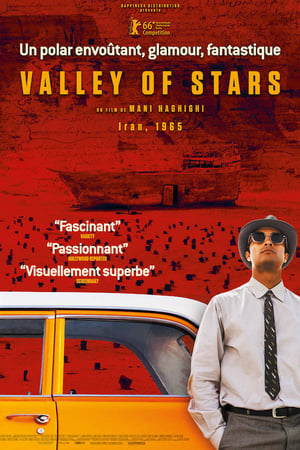 Poster Valley of Stars 2016