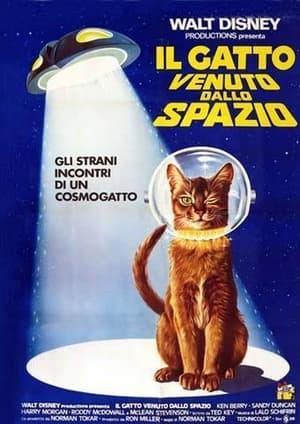 Poster Il gatto venuto dallo spazio 1978