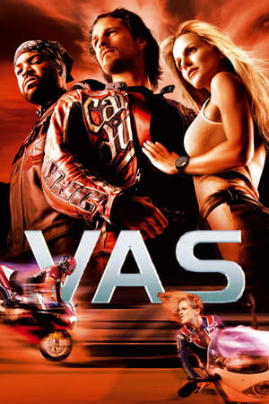 Poster Vas 2004
