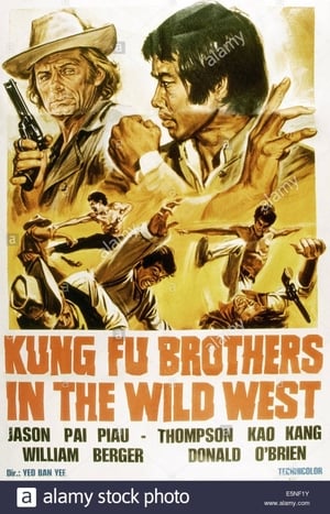 Image Kung Fu nel pazzo west
