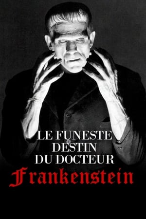 Poster Le Funeste Destin du docteur Frankenstein 2018