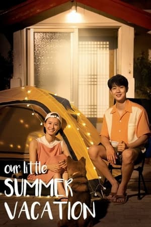 Poster Our Little Summer Vacation 2020
