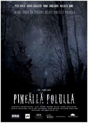 Poster Pimeällä polulla 2014