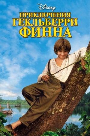 Poster Приключения Гекльберри Финна 1993