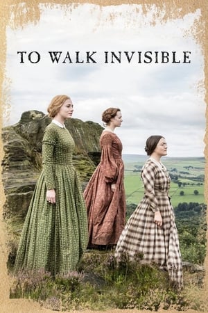 Poster To Walk Invisible 2016