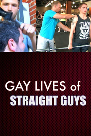 Poster Gay Lives of Straight Guys 2014