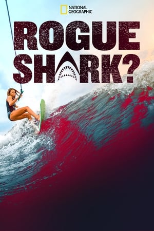 Poster Rogue Shark 2021