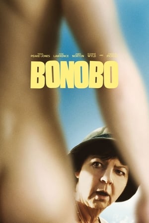 Poster Bonobo 2014