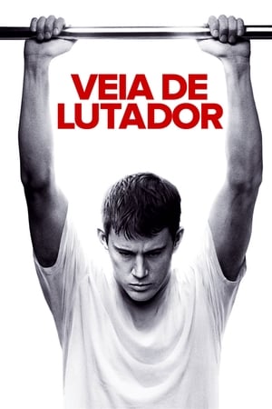 Poster Lutador - A Leia das Ruas 2009