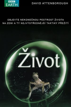 Poster Život 1. sezóna Životní zkoušky 2009