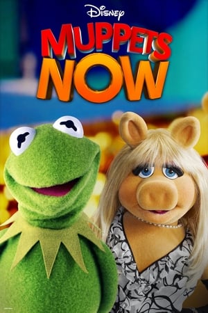 Image Muppets Now