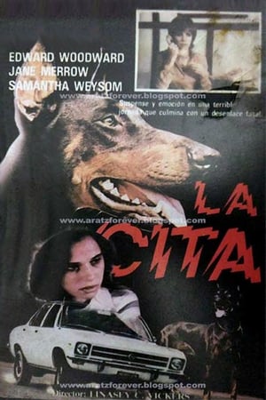 Poster La cita 1981