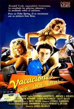 Poster Vacaciones locas, locas, locas 1985