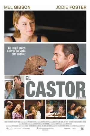 Poster El castor 2011