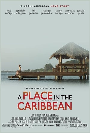Poster A Place in the Caribbean 2017