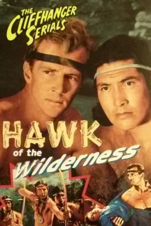 Poster Hawk of the Wilderness 1938