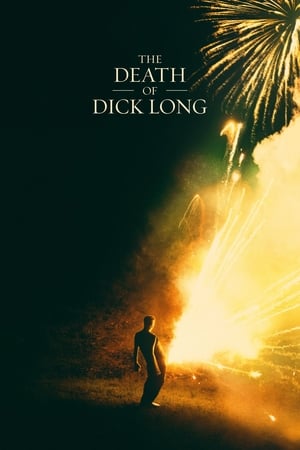 Poster The Death of Dick Long 2019