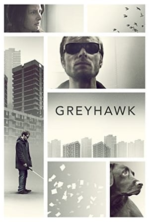 Poster Greyhawk 2014
