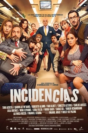 Poster Incidencias 2015