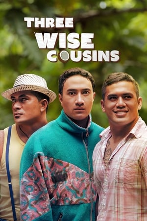 Poster Three Wise Cousins 2016