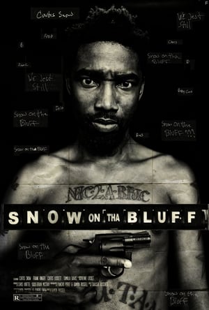 Poster Snow on tha Bluff 2011