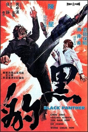 Poster Hei bao 1973