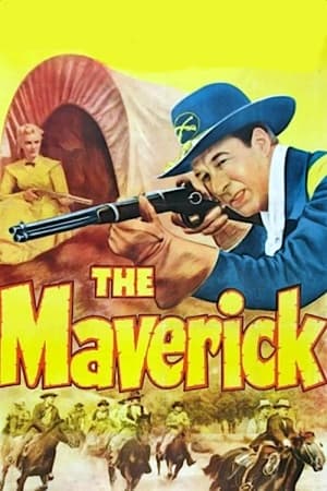 Poster The Maverick 1952