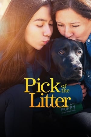 Poster Pick of the Litter 2019