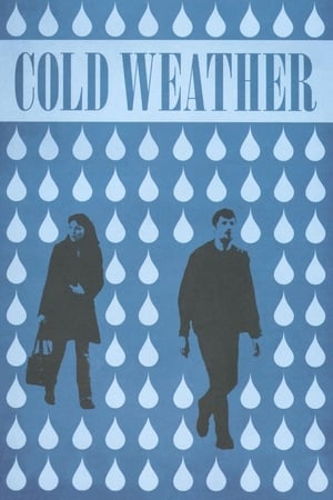 Poster Cold Weather 2010